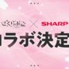 さくらみことシャープがコラボ決定 “加湿器事件"から約3年で実現 | PROGR