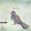 Blackbird by Elizabeth Rose Bloodflame - DistroKid